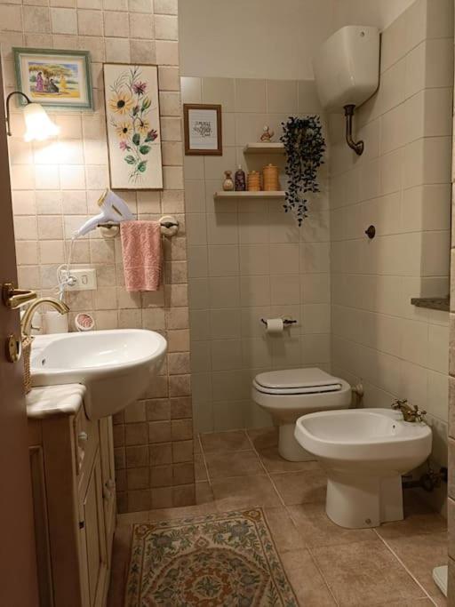 D'Amico Home Experience - Frosinone Centro 외부 사진